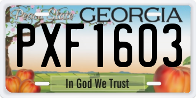 GA license plate PXF1603