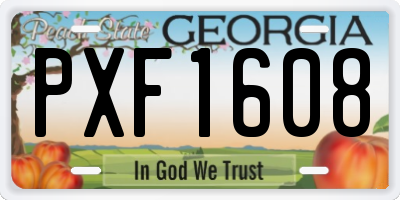 GA license plate PXF1608