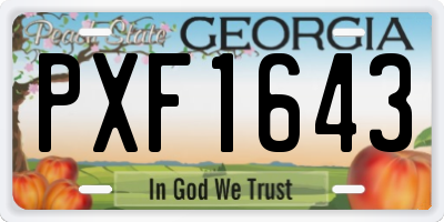 GA license plate PXF1643