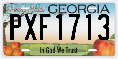 GA license plate PXF1713