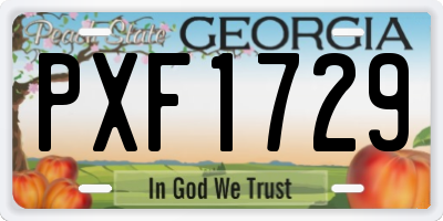 GA license plate PXF1729