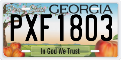 GA license plate PXF1803