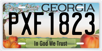 GA license plate PXF1823