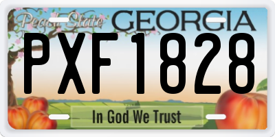 GA license plate PXF1828