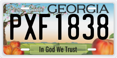 GA license plate PXF1838