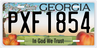 GA license plate PXF1854