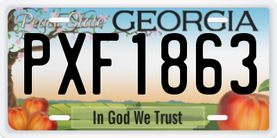 GA license plate PXF1863