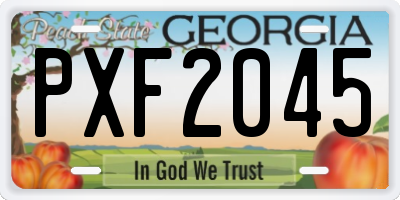 GA license plate PXF2045