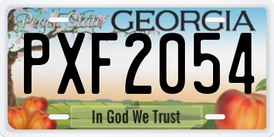GA license plate PXF2054