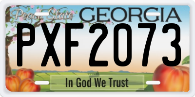 GA license plate PXF2073