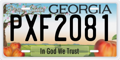 GA license plate PXF2081