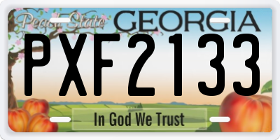 GA license plate PXF2133