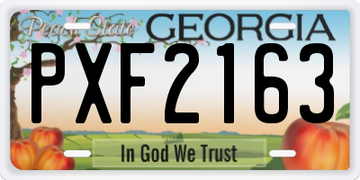 GA license plate PXF2163