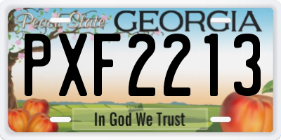 GA license plate PXF2213