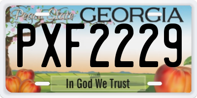 GA license plate PXF2229