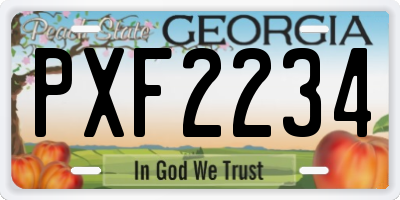 GA license plate PXF2234