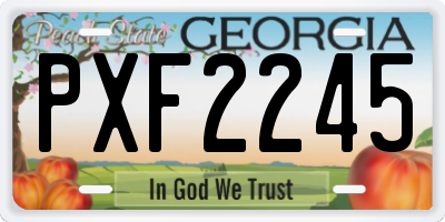 GA license plate PXF2245