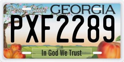 GA license plate PXF2289