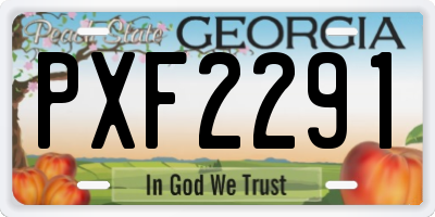 GA license plate PXF2291