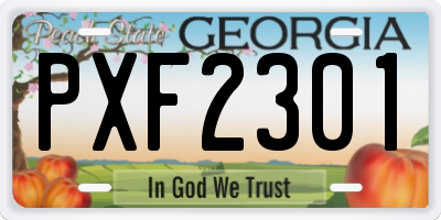 GA license plate PXF2301