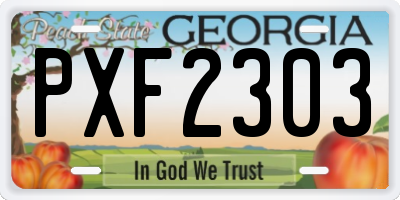 GA license plate PXF2303