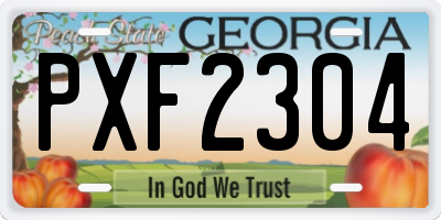 GA license plate PXF2304