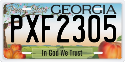 GA license plate PXF2305