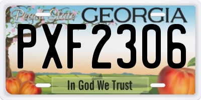GA license plate PXF2306