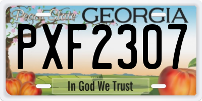 GA license plate PXF2307