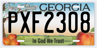 GA license plate PXF2308