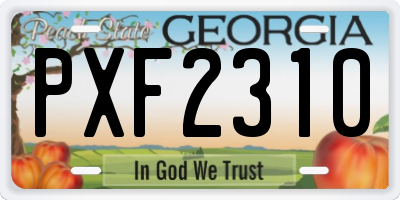 GA license plate PXF2310