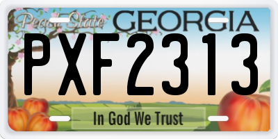 GA license plate PXF2313