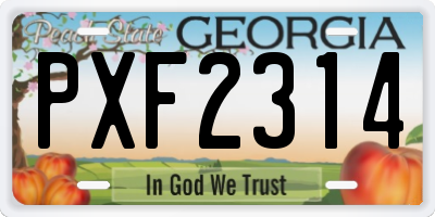 GA license plate PXF2314