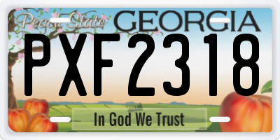 GA license plate PXF2318