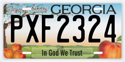 GA license plate PXF2324