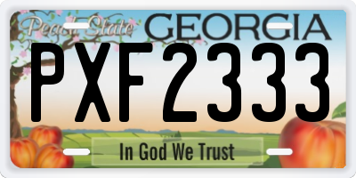 GA license plate PXF2333