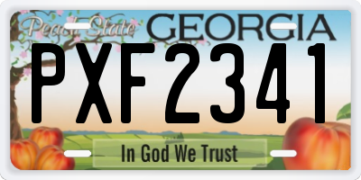 GA license plate PXF2341
