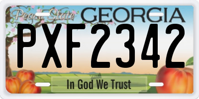 GA license plate PXF2342