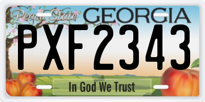 GA license plate PXF2343