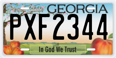 GA license plate PXF2344