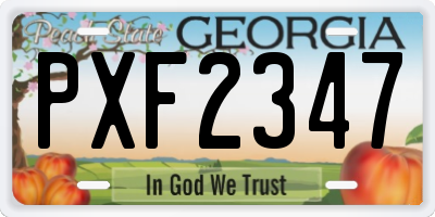 GA license plate PXF2347