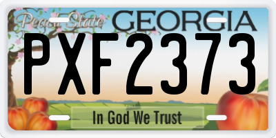 GA license plate PXF2373