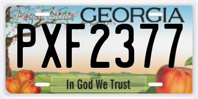 GA license plate PXF2377