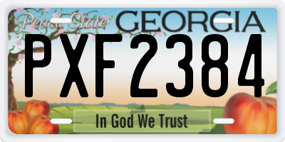 GA license plate PXF2384