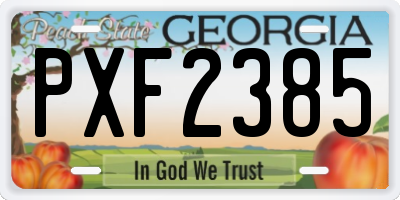 GA license plate PXF2385