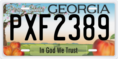 GA license plate PXF2389