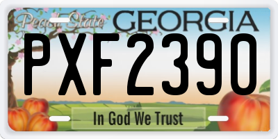 GA license plate PXF2390