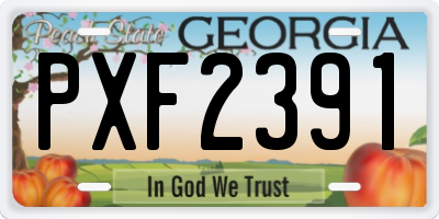 GA license plate PXF2391