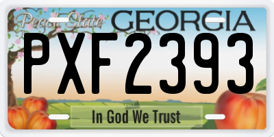 GA license plate PXF2393