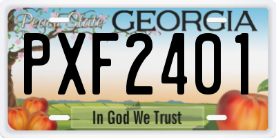 GA license plate PXF2401